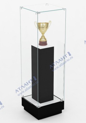 Музейная витрина В.М.П-1