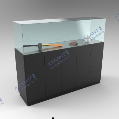 Музейная витрина В.С.6